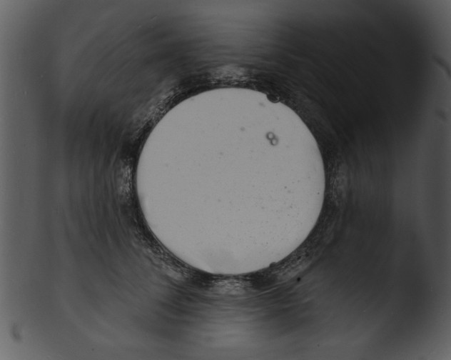 X0000103240708200809251328