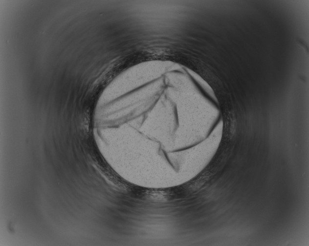 X0000103240710200809251327