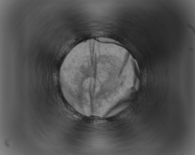 X0000103240716200809251327