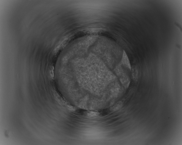 X0000103240718200809251327