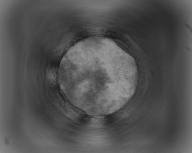 X0000103240720200809251327