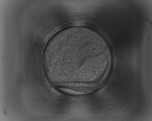 X0000103240721200809251326