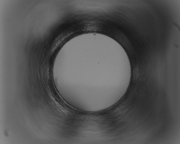 X0000103240722200809251326