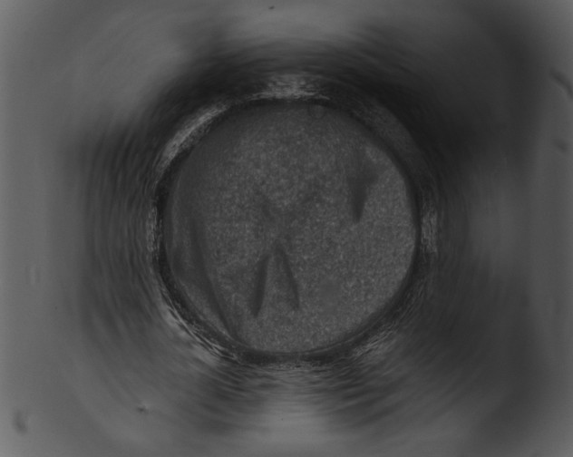 X0000103240724200809251327