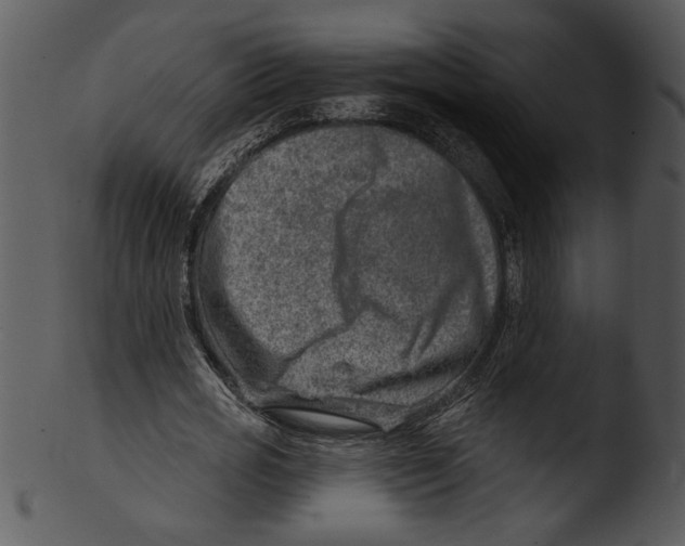 X0000103240725200809251327