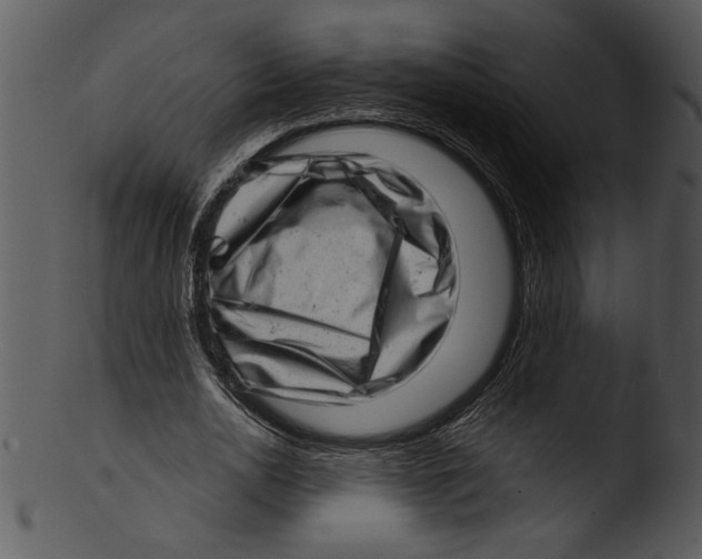 X0000103240726200809251327