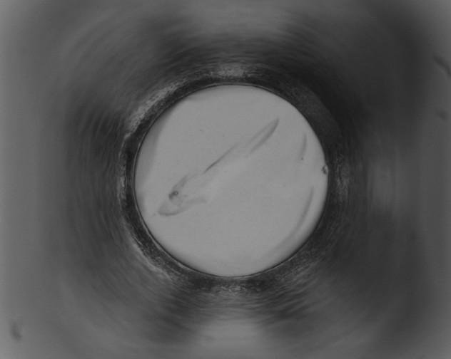 X0000103240728200809251327