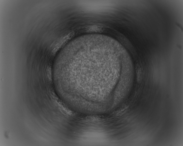 X0000103240729200809251327