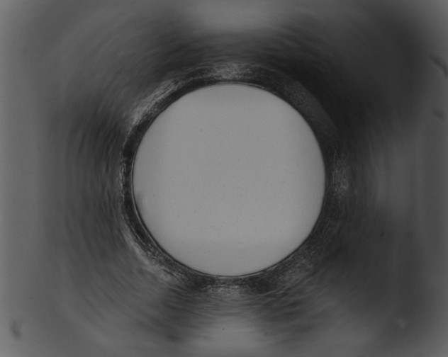 X0000103240730200809251327