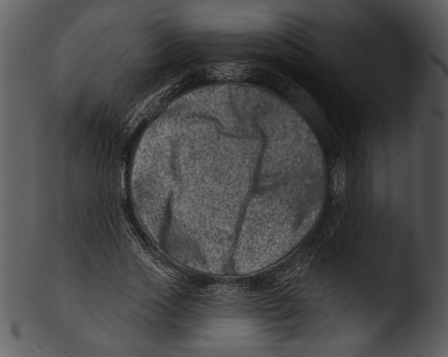 X0000103240733200809251327