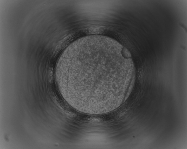 X0000103240741200809251327