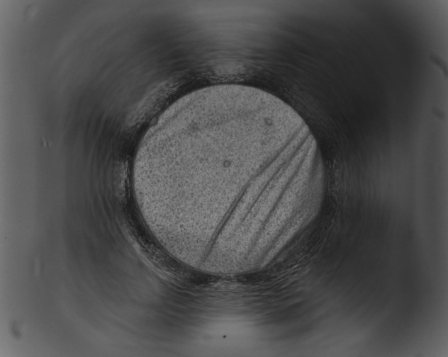 X0000103240742200809251327