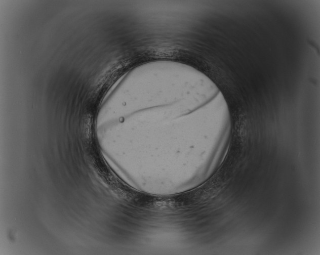 X0000103240744200809251327