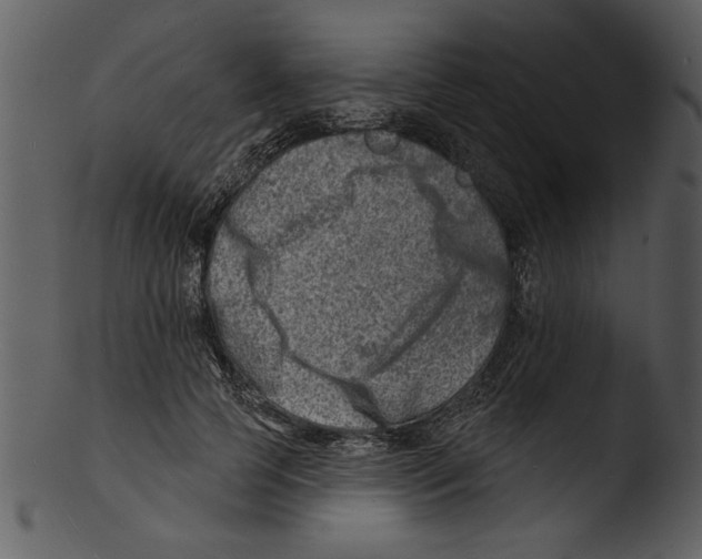 X0000103240745200809251327