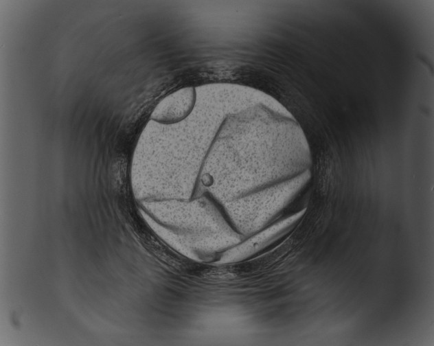 X0000103240747200809251327