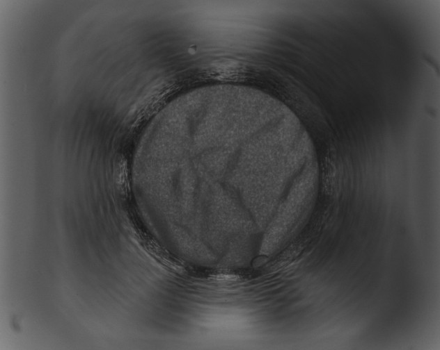 X0000103240748200809251327