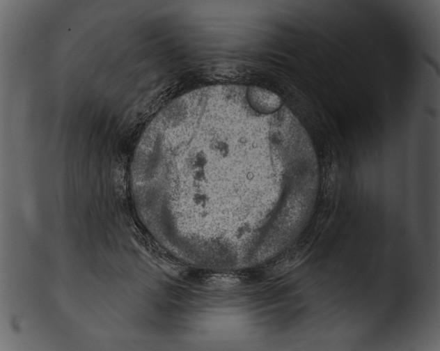 X0000103240749200809251327