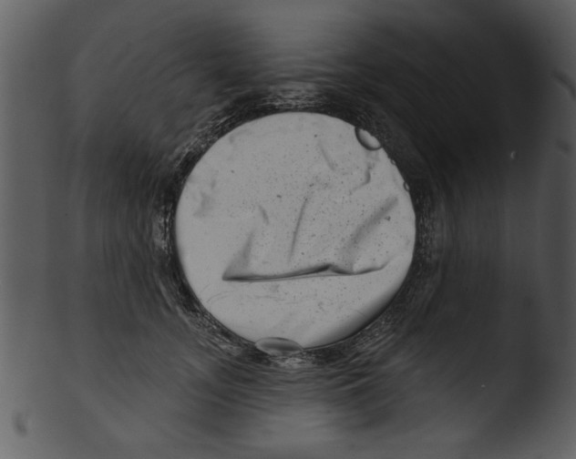 X0000103240755200809251327