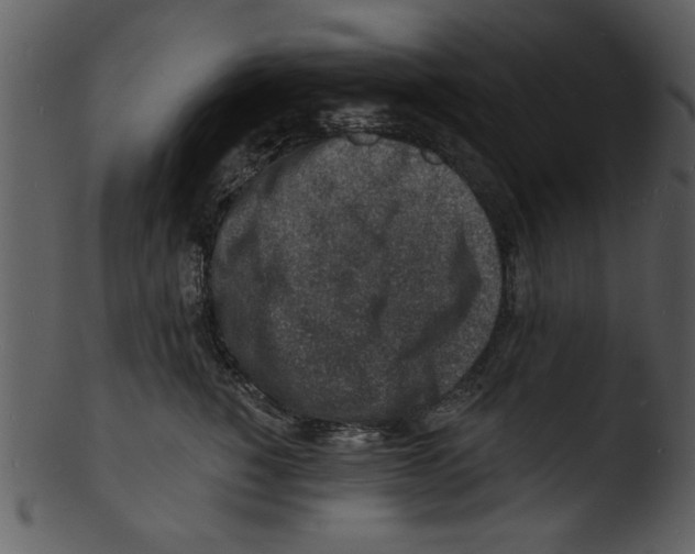 X0000103240760200809251327