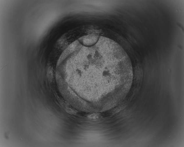 X0000103240761200809251327