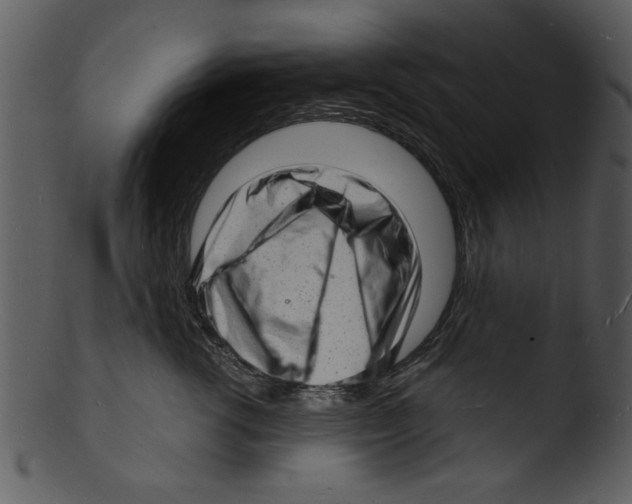 X0000103240762200809251327