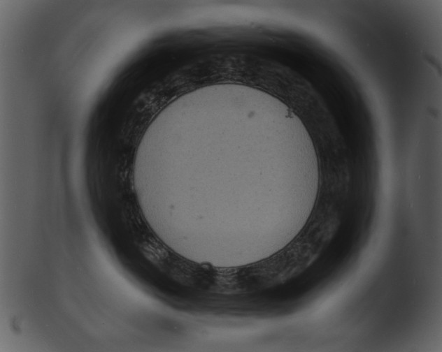 X0000103240766200809251327