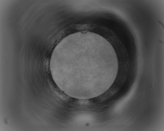 X0000103240767200809251327