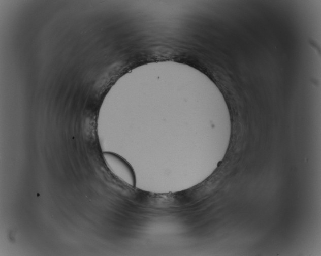 X0000103240768200809251327