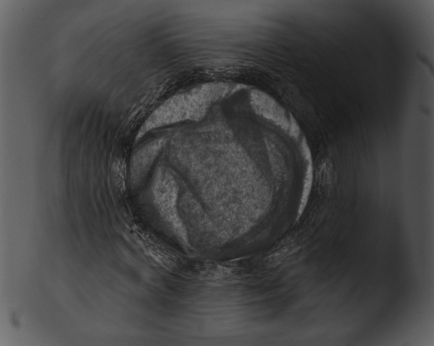 X0000103240772200809251326