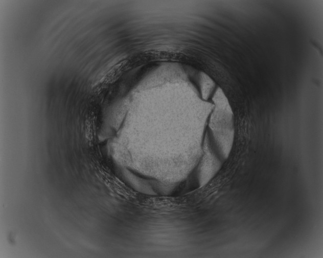 X0000103240774200809251326