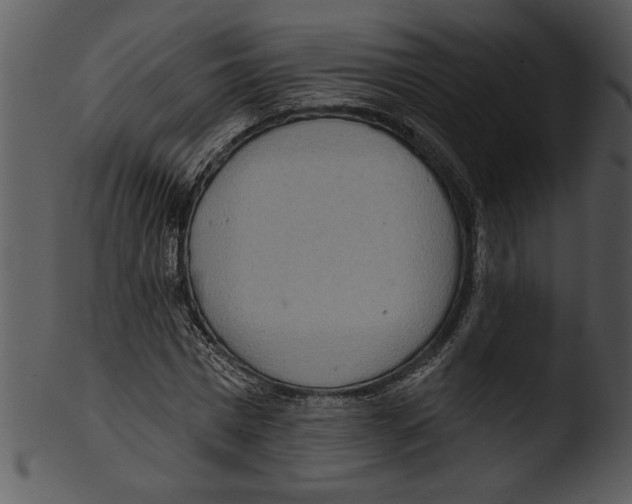 X0000103240777200809251326