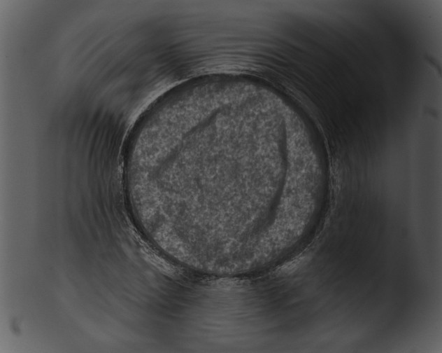 X0000103240779200809251326