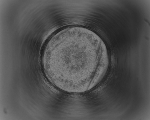 X0000103240780200809251326