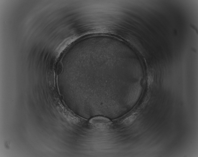 X0000103240781200809251326