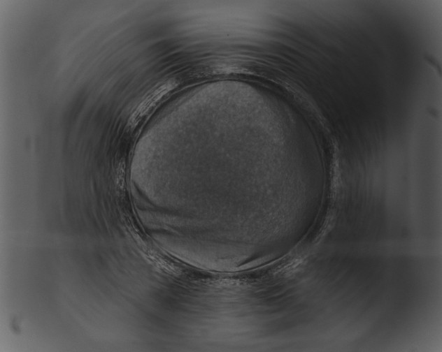 X0000103240785200809251326