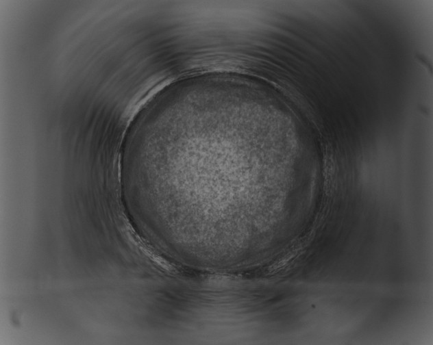 X0000103240790200809251326