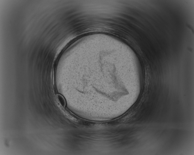 X0000103240796200809251326