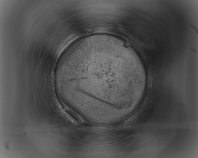 X0000103240798200809251326