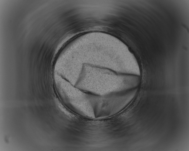 X0000103240800200809251326