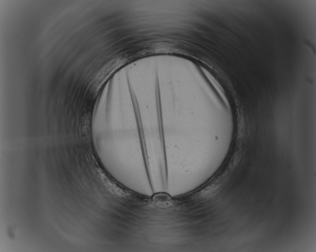 X0000103240801200809251326