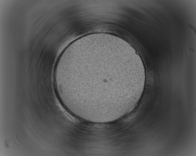 X0000103240803200809251326