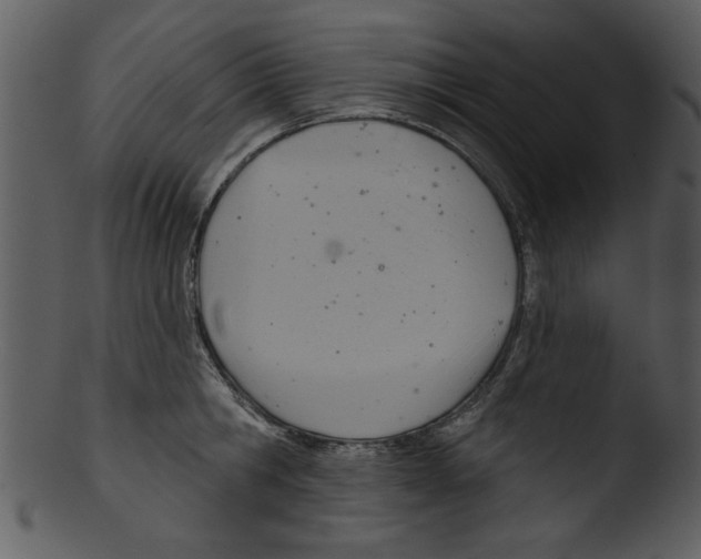 X0000103240806200809251326