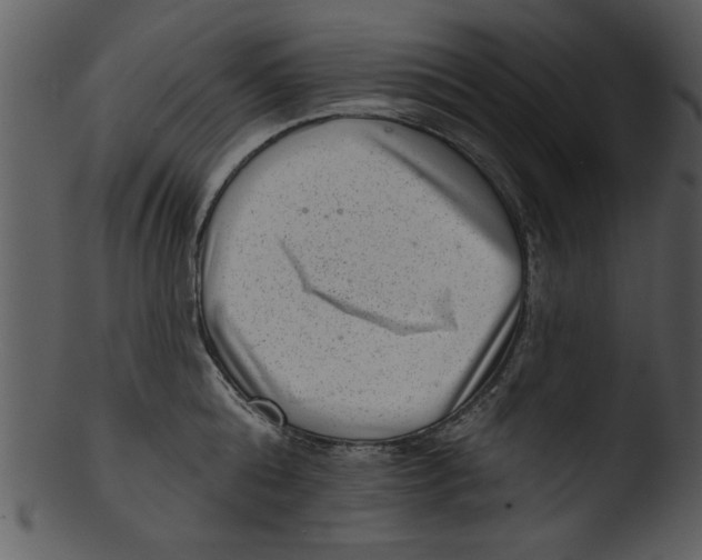 X0000103240808200809251326