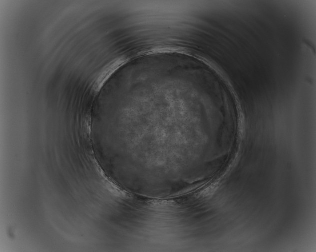 X0000103240809200809251326