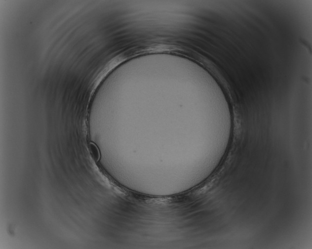 X0000103240810200809251326