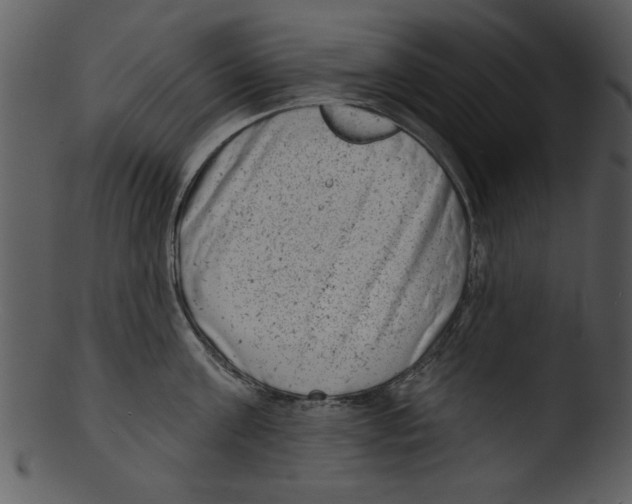 X0000103240811200809251326