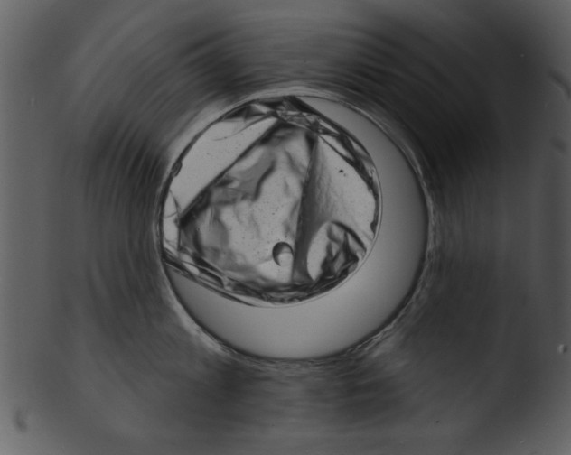 X0000103240813200809251326