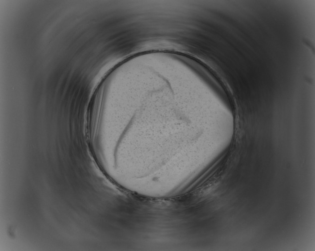 X0000103240815200809251326