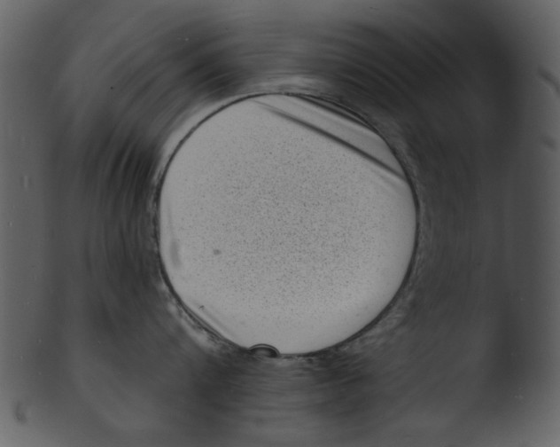 X0000103240816200809251326