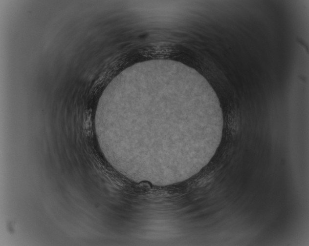 X0000103240818200809251325